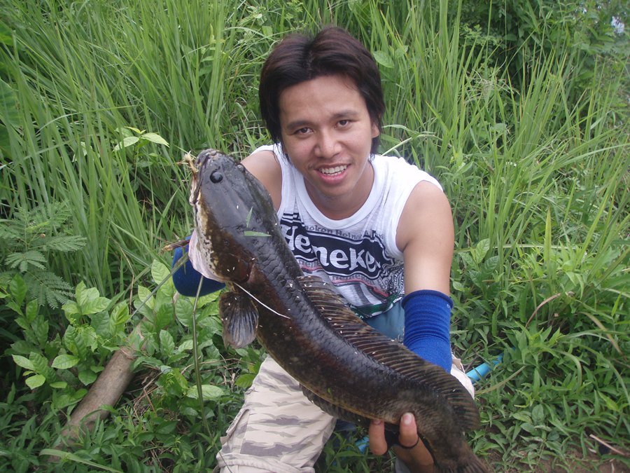 เอ้าเปิดหน้าผากเพิ่มศักยภาพความหล