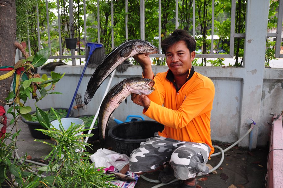 กลับมาหล่อที่บ้านก่อนกลายร่างเป็นพ่อครัว :grin: :grin: :grin: