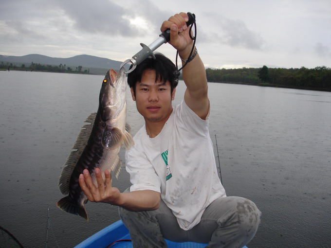 ช่วงตอนเช้าฝนตกครับ วันนี้คงตีปลาจิบมันแน่ :grin: :grin: :grin: :grin: