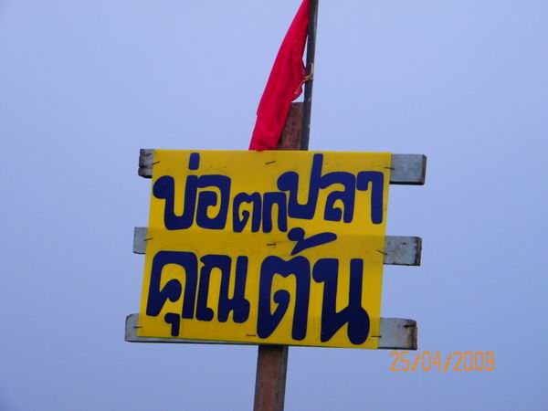กลับก่อนนะคะ....ขอบคุณน้าๆที่เข้ามาติดตามชมกันนะคะ....ต้องกลับไปคิดเมนูก่อน.....ทำยัยกินดีน๊า....แล้