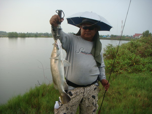 สมาชิกท่านหนึ่ง(ขออภัยไม่ได้ถามชื่