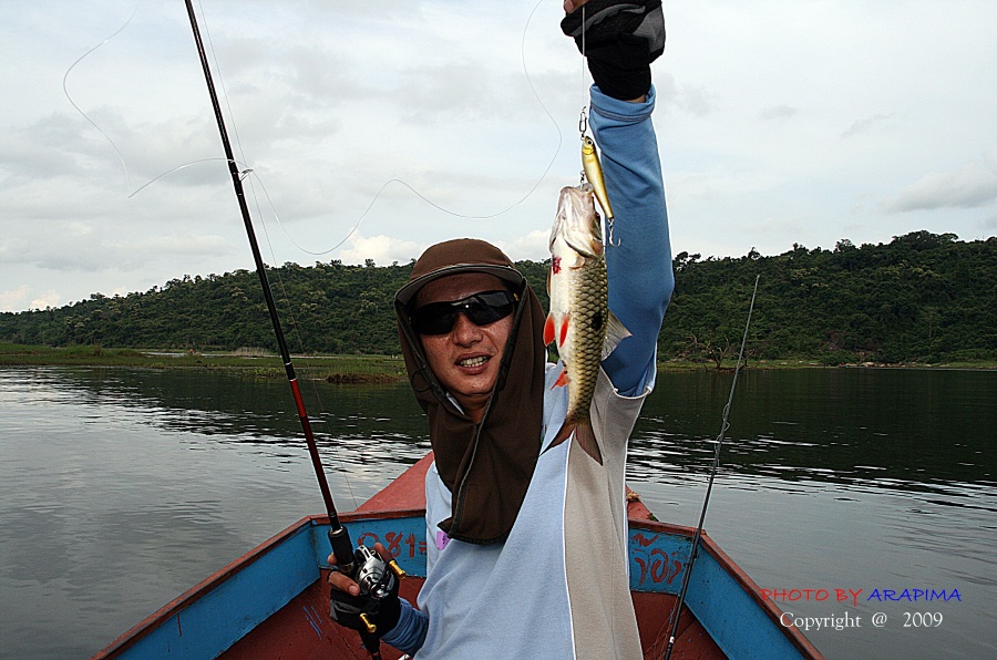  :grin: :grin:  ผมพอถ่ายรูปให้ น้าเอกเสร็จ....หันไปหวดมั่ง....
ก้อได้เจ้าตัวนี้ขึ้นมา....ไล่กัดเหยื