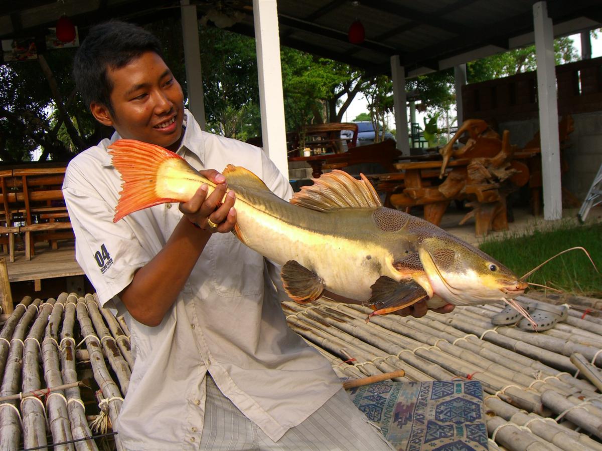 อีกมุมคับ


 :grin: :grin: :grin: