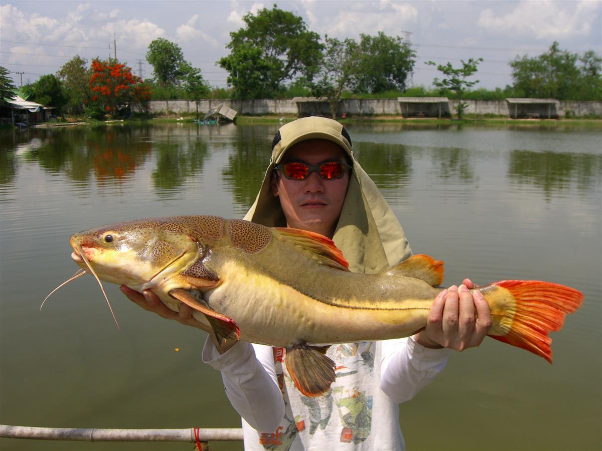 ไซร์อวบกำลังดีคับ หุ หุ หุ

 :grin: :grin: :grin: