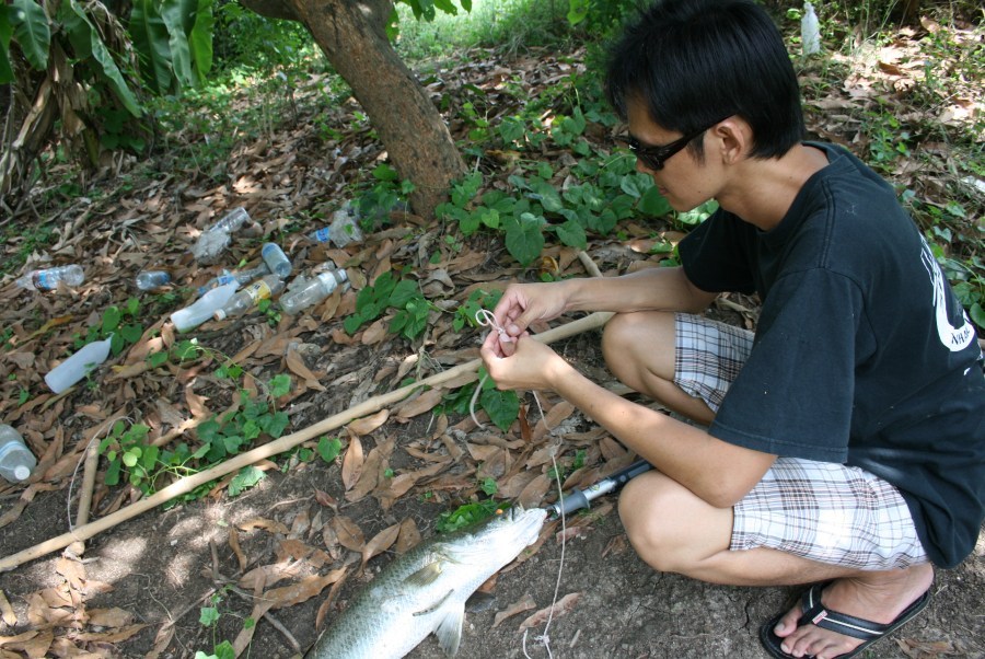 เชือกก้อเปื่อย