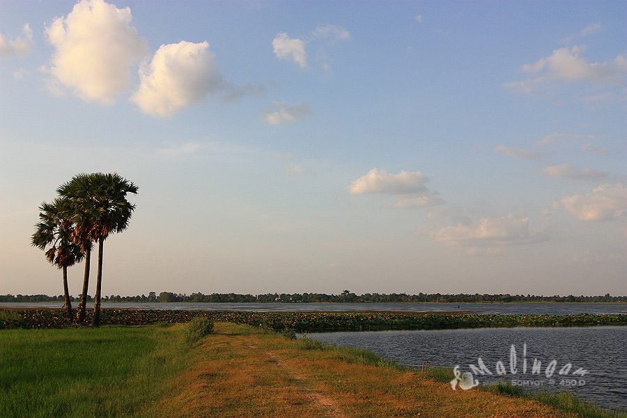 โทรถาม..ทาง น้าสยาม....เลยอ้อมไปอีฝั่งของอ่าง....บ้านโนนมะนาว
    วิวสวย...แนวบัวโน้น  น่ามีตัว   :