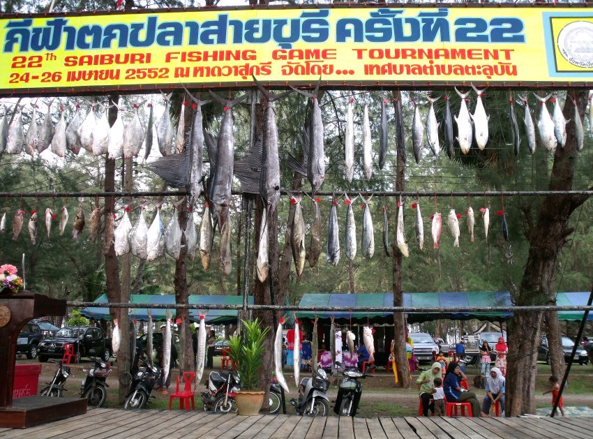  จำนวนทีมที่เข้าร่วมแข่งขัน  จำนวน   45 ทีม
  นักกีฬา                          จำนวน 135 คน
  ผู้ต