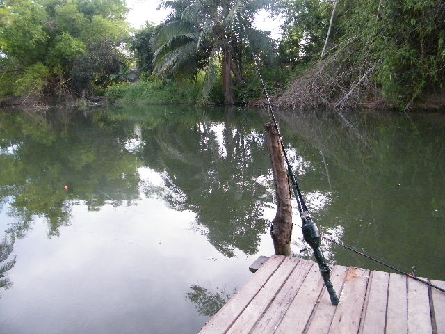 น่าเสียดายเนอะน้าdna-fishingtour   แต่น่าเจ็บใจมากกว่า
อย่างนี้ฟ้องได้มั้ยเนี่ย โฆษนาเกินจริง


