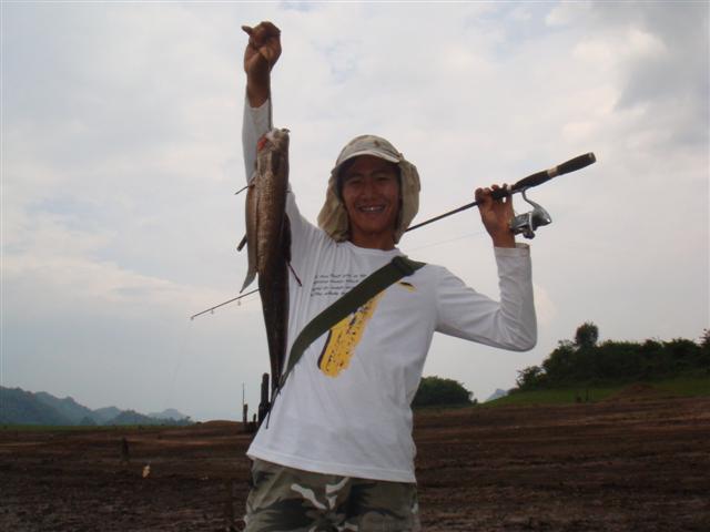 ชะโดกัดไม่ค่อยดีครับ สู้ปลาช่อนไม่ได้