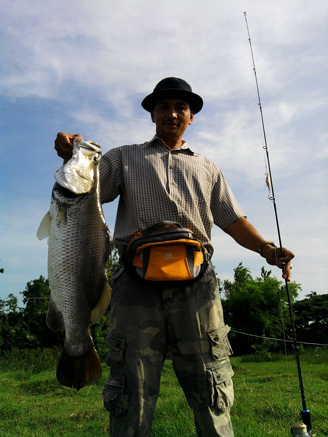 สำหรับปลาธรรมชาติขนาดนี้ผมคิดว่าโตพอสมควรครับ