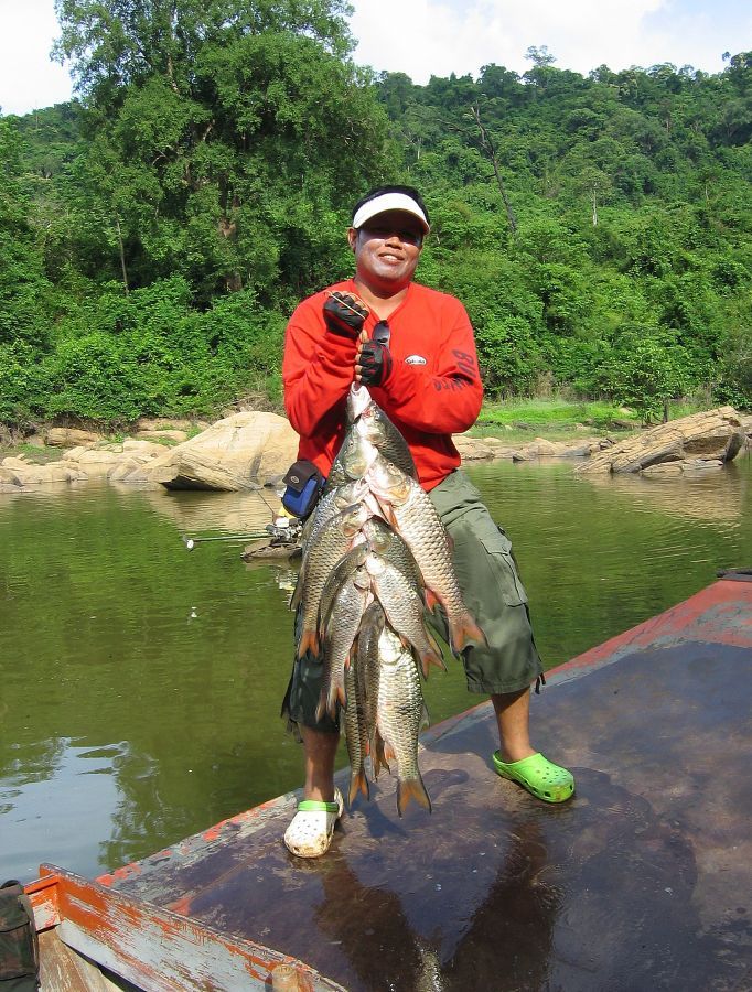  ปลาพวง  ของ BULINO ครับ

  :grin: :grin: :grin: