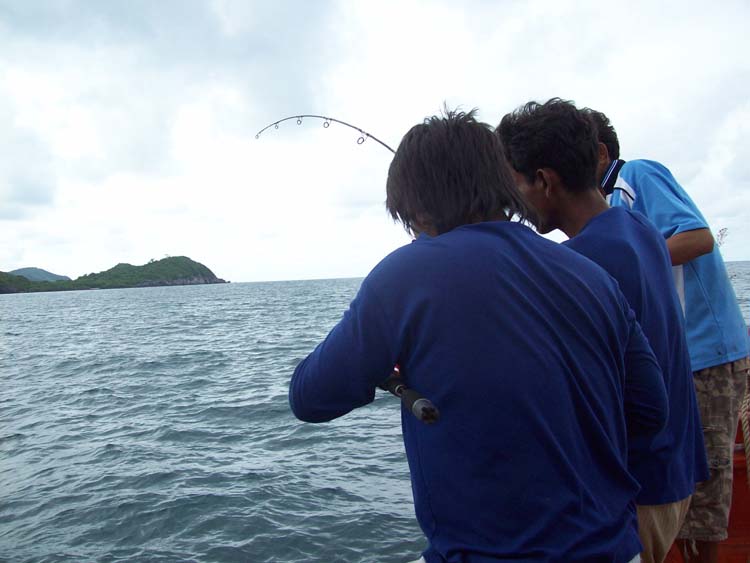  2คันหัวเรือยังแยกสายกันไม่ออกครับ  