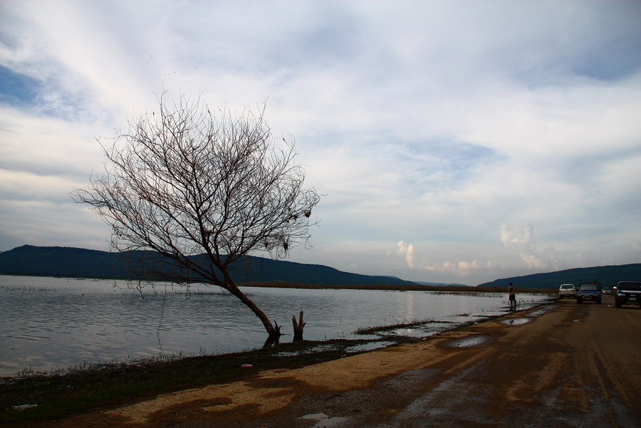 สวัสดีค๊าบ  น้าaummangmun...น้ากวี...
ตามชมกั