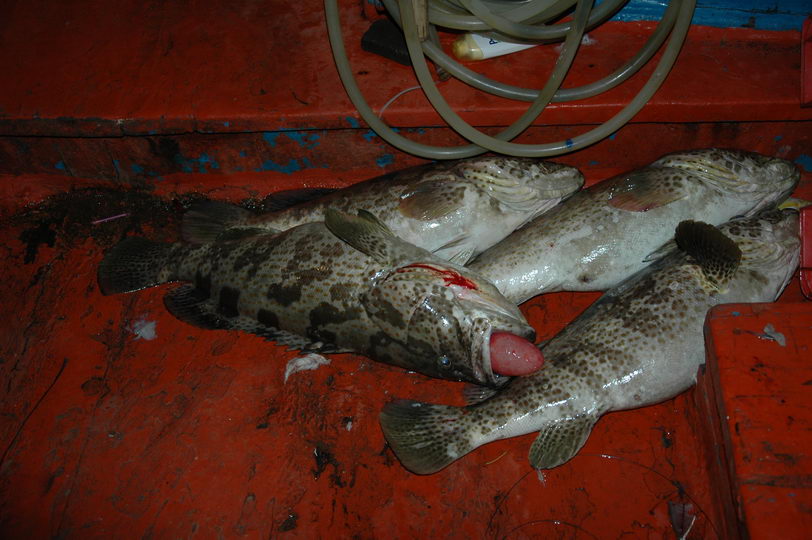 ผลงานบางส่วน :umh: