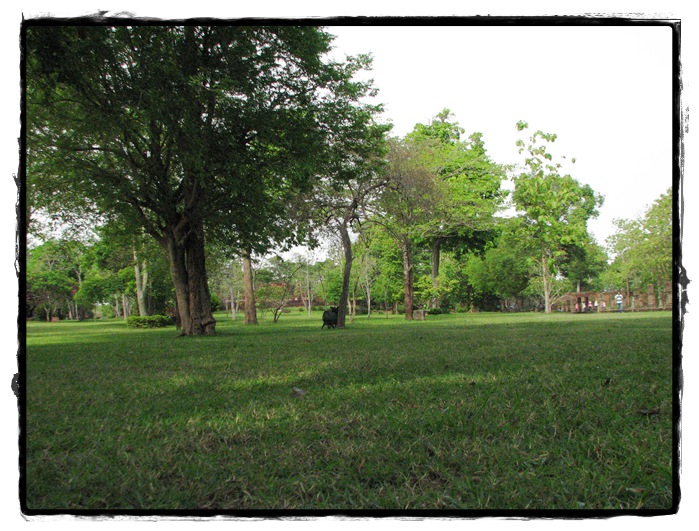 สนามหญ้า น่านอนเล่นเป็นบ้า


 :love: :love: :love: :love: :love: :love: