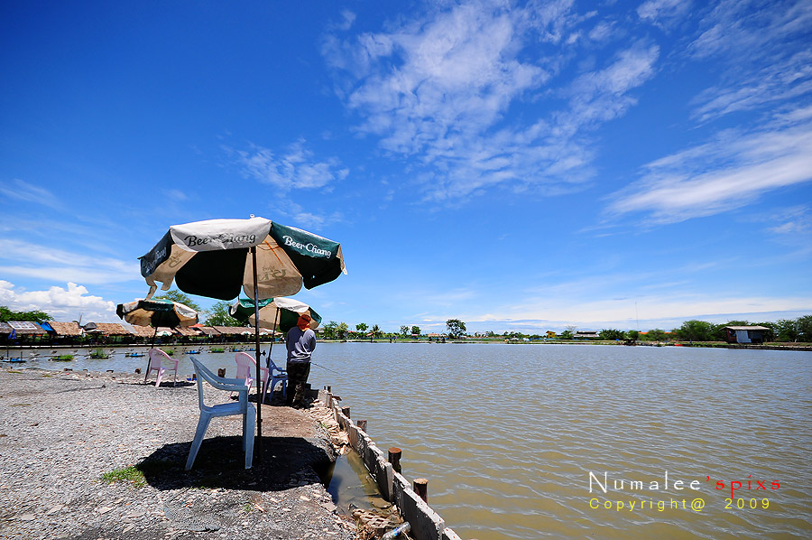 ลากันด้วยภาพนี้คับ  กับฟ้าสวย ๆ ในวันที่ปลากินดี ๆ   ไว้พบกันใหม่โอกาสหน้าคับ   ขอขอบคุณเวฟสยามฟิชชิ