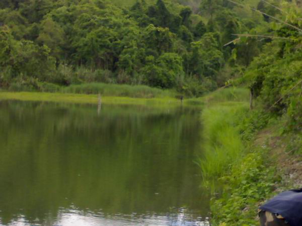 ทางนู้นก็คือ น้าโมก แห่งแม่เมาะ ลำป�