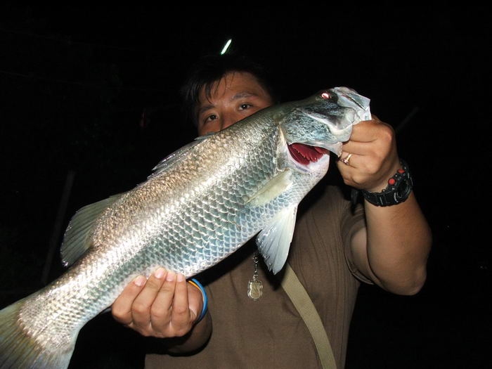 โชว์ตามระเบียบ :cheer: :cheer: :cheer: