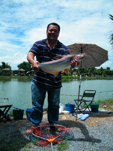 อะเจ้ย  ซ่งอะไรเกล็ดหลุดหมดเลย สงสัยอัดนานไปหน่อย :laughing: :laughing:
---------------------------