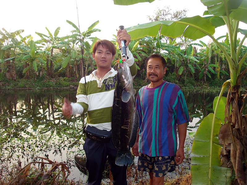 
 [b]แหล่มเลยไอ้หนู   ขึ้นมาสักทีอ้ายต