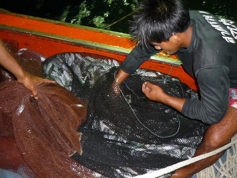 มันคือพวกปลาหลังเขียวติดขึ้นมาเต็มอวนเลยเยอะไม่เยอะติดตามกันตอนท้ายนะคับ