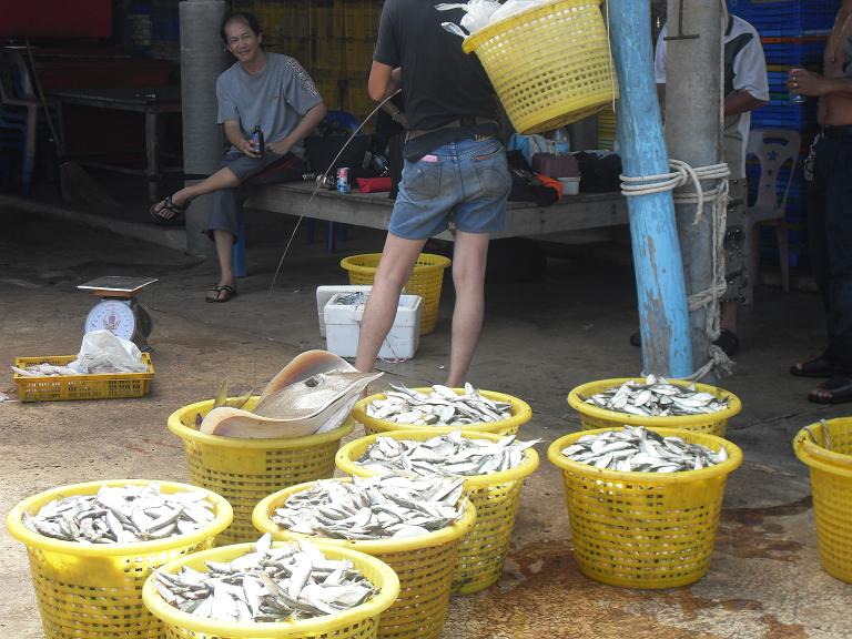 เต็มไปหมดเลย