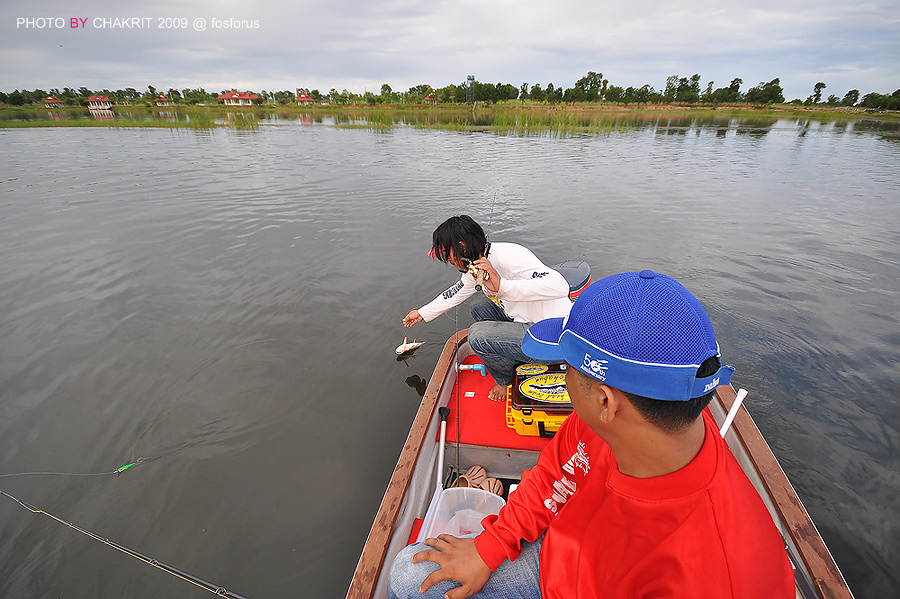 ตัวแรกของวันนี้ นพพร2007แรงตลอด