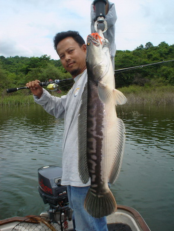 ดูดีนะเนี่ย    :cheer: :love: