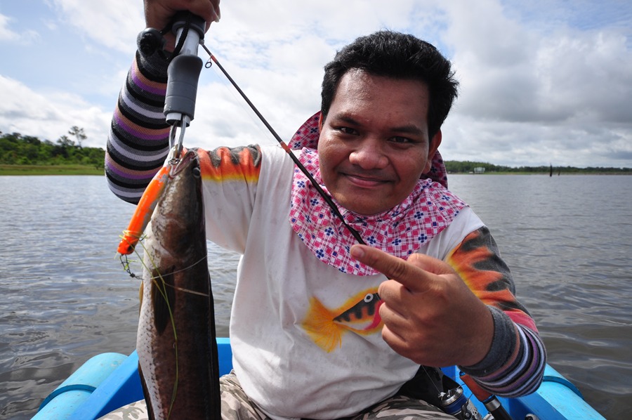 ปลาช่อนในวังกุ้งไม่ค่อยถูกกันกับน้ามาด....ถ้าช่อนเขื่อนล่ะของชอบเลยใช่ป่าวครับน้ามาด :grin: :grin: