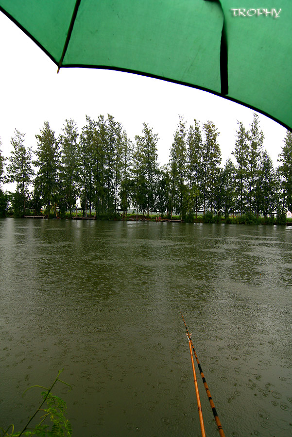 จนใกล้เที่ยง ฝนก็เริ่มเทลงมาตลอด ทำให้การตกปลาเริ่มมีรสชาติยิ่งขึ้น  :laughing:

หวัดดีครับน้า Sar