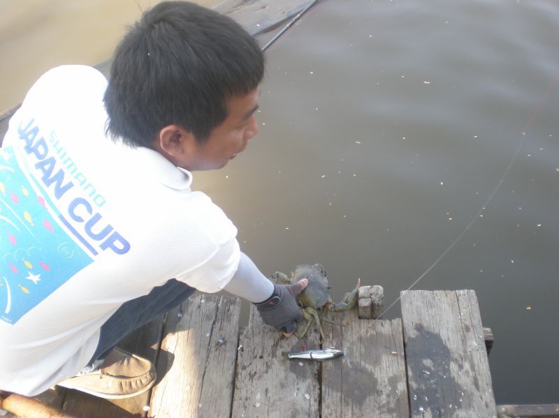 เจ้าของ.....บ่อ..............เอามานี้..................ปูไข่..................400

 :laughing: :la
