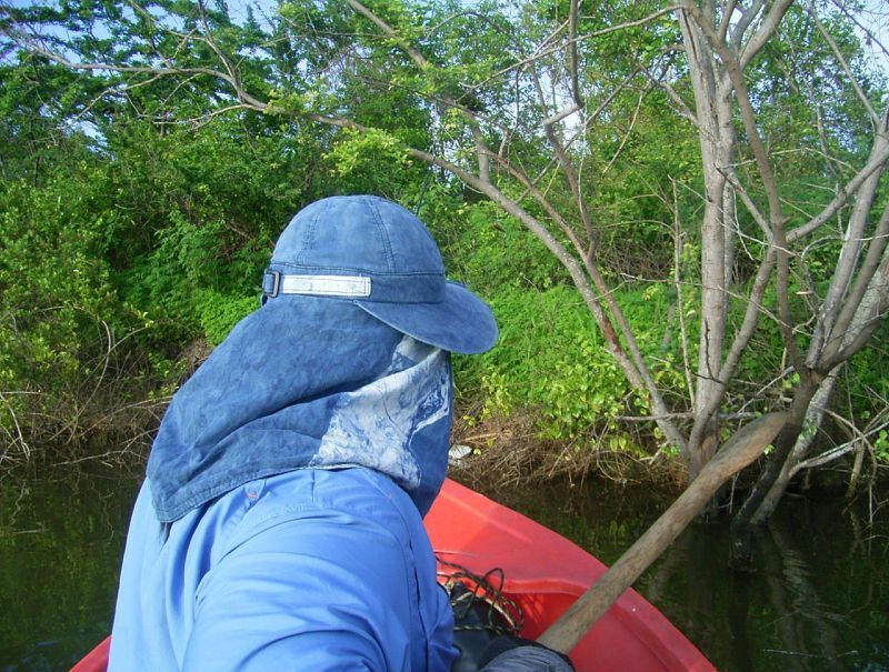 โดยมีผมลงเรือลำเดียวกันกับน้าบี้ นึกในใจตรูจะรอดไหมนี่ลงเรือทีกาบเรือปริ่มน้ำเลย
พอเข้าถึงหมายบั๊ดด