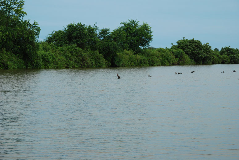 ลอยเรือตีปลา(ช่อน)จิบ