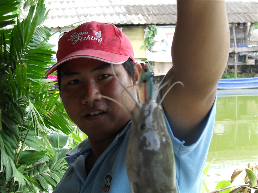  :love: :love:
เอ้ายกขึ้นมา เต็มๆครับเข้าปากแน่นอนไม่มีฟาวล์
 :grin: