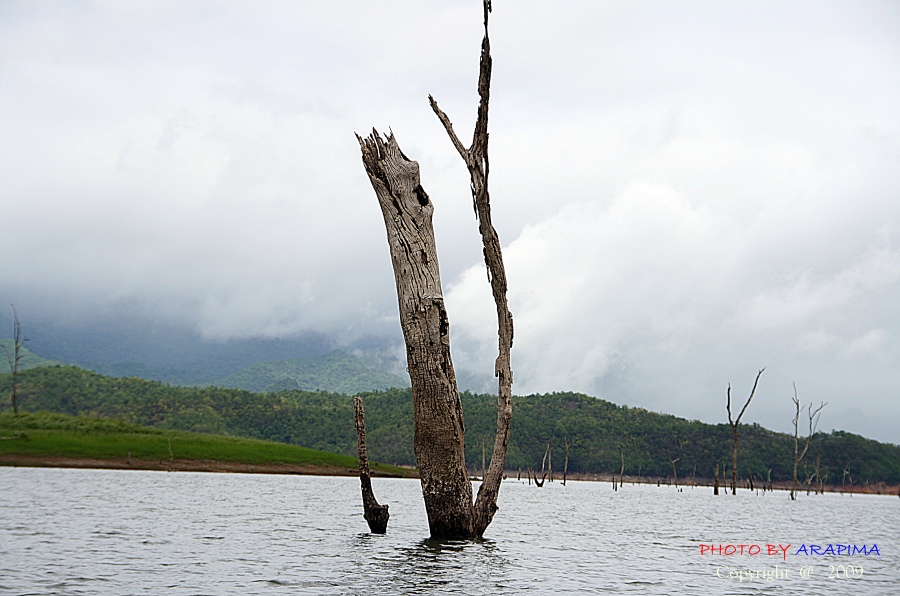  :grin: :grin:  เมฆฝนมาอีกและ   :laughing: :laughing:
