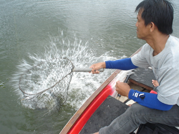 เชิญขึ้นเรือโดยมือสวิงจาก ท่าหลวงครับ  น้ำบานเลยครับ   :cheer:
