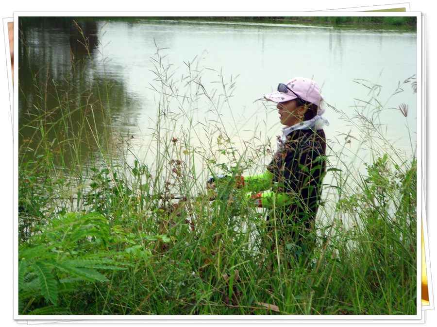 " ไข่ในหิน "........ :love: :love: :love: