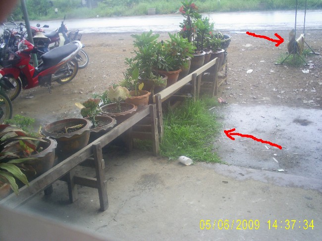 ป้ายหน้าร้านยังโดนทำร้าย แบบนี้ จะเอาไงดีครับเนี่ย
 :sad: :sad: :sad: :sad: :sad: :sad: :sad: :sad: