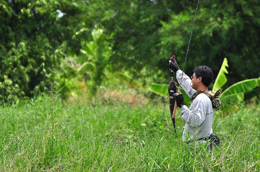 ดูเอาละกันนน  ขนาดไกลๆ หัวเบ่อเร่อ เลยอ่ะ  :cheer: :cheer: :cheer: :cheer: :cheer: