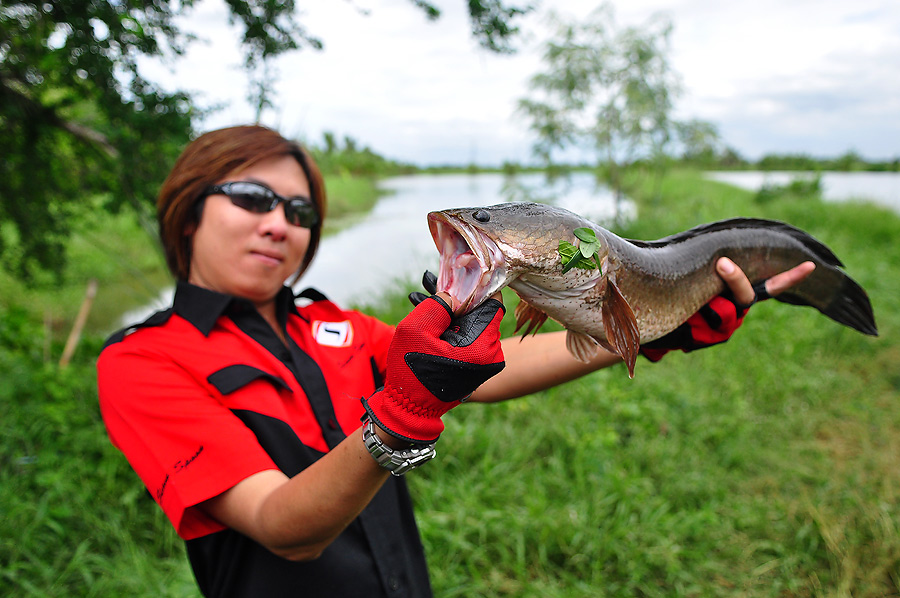 ส่วนน้าโอ ก็ กระดิ๊ก กระดี๊  นิสายยยยยยยยยยยยยยยยยยยยย :angry: :angry: :angry: :angry: