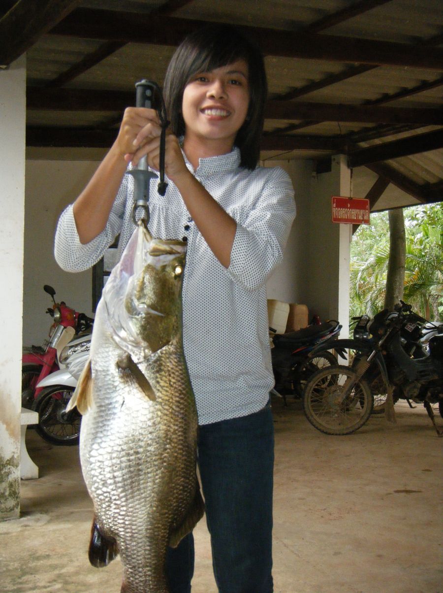 ขอบคุณน้าที่ติดตามนะครับ

