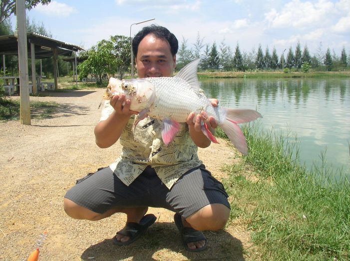 โชว์สวยๆหน่อย กระโห้ผิวเนียนๆ ขาวๆเลยเชียว  :smile: :smile: :smile: :smile: