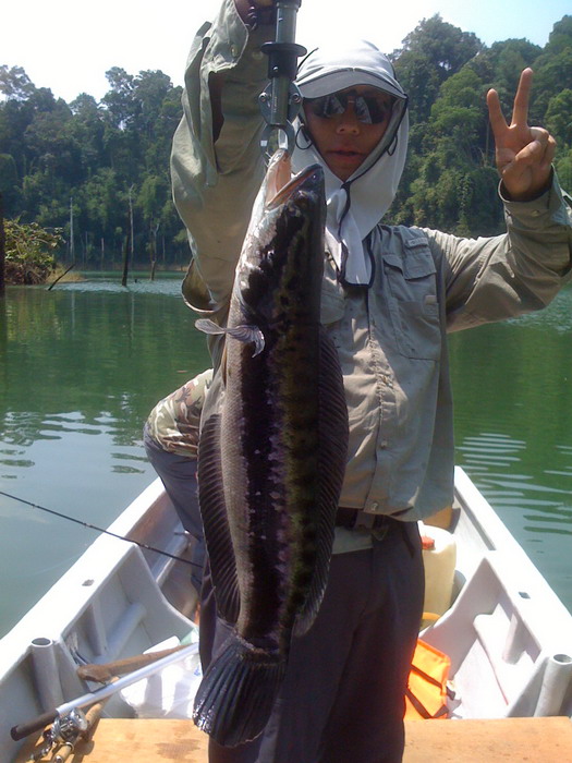 เดี๋ยวจะหาว่าตกได้แต่ปลาเด็กๆ เนอะตี๋เนอะ

เอาไซด์คุณภาพไปดูบ้าง :cool: