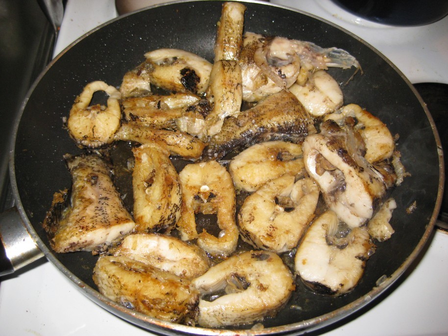 น้ำมันร้อนๆ ทอดก่อน ผัดพริกแกง  (พอด