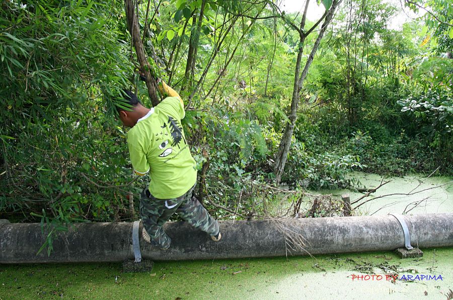  :grin: :grin:  อ้าว.....นั่นเป็นลิงไปซะแล้ว ตาเ