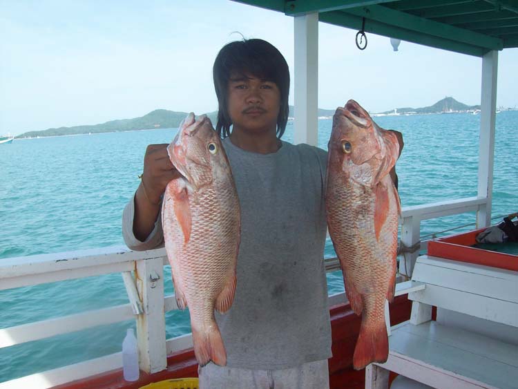 ไต๋ป็อกกับแดงเขี้ยว  :grin:

หวัดดีครับน้าเด็กระนอง2  :grin: