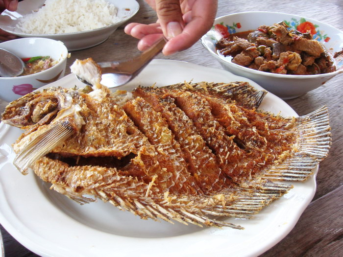 หลังจากที่กินข้าวเช้าเสร็จ น้าดนัยกับน้าต๋อง
ก็ออกเรือไปกับไต๋โชคเจ้าของแพ ส่วนผมขออยู่เฝ้า
แพโดยม