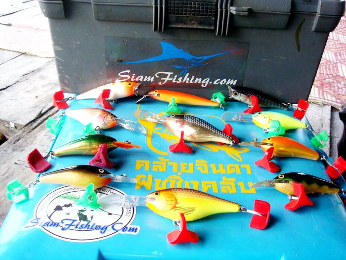 Rapala ที่เห็น โดนปลาทุกตัวครับ อิ อิ  :laughing: :laughing: :laughing: