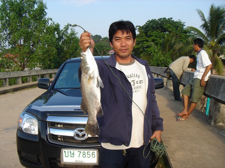 รวมมิตรคนเฝ้าตอม่อกับ4สะพาน