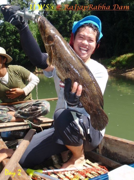 










นับเป็นความ ซวย อย่างมหันต์
